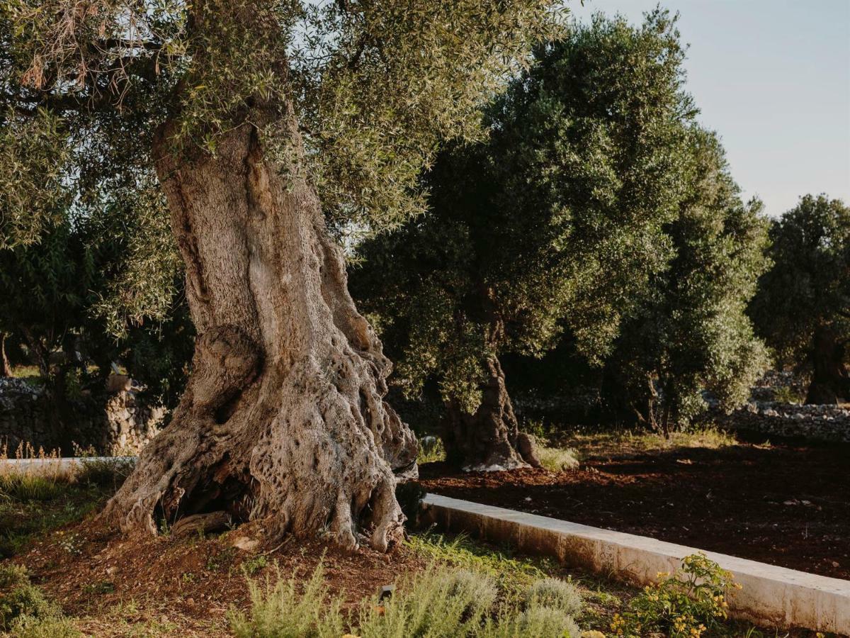 Masseria Dagilupi 오스투니 외부 사진