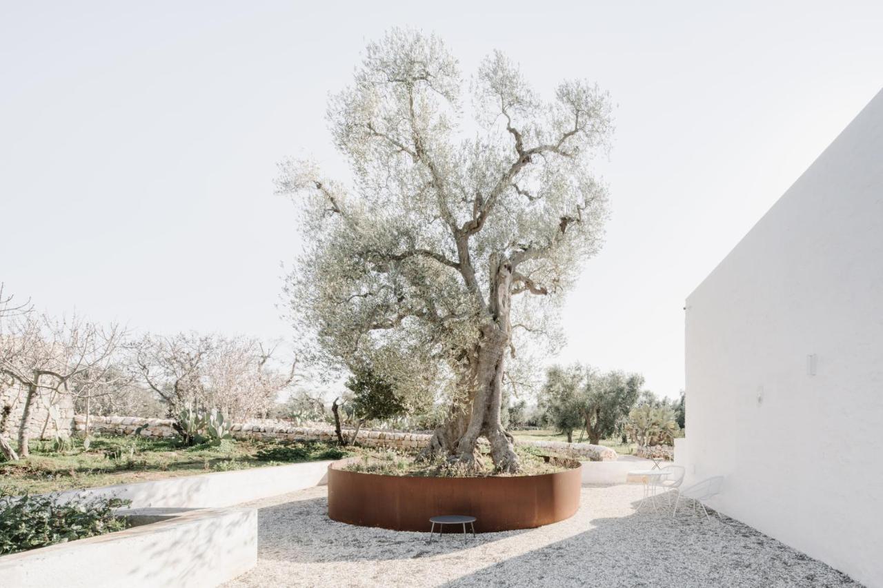Masseria Dagilupi 오스투니 외부 사진